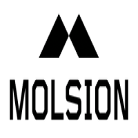 Logo of MOLSION